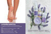 Pagina 84, Catalogo avon gennaio 